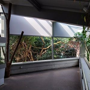 Exotarium - Top floor - Canopy view