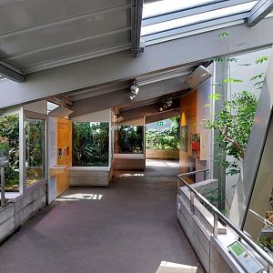 Exotarium - Top floor - Amphibians section