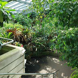 Exotarium - Top floor - South American rainforest