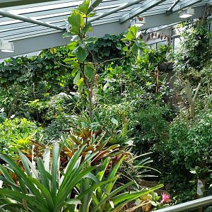 Exotarium - Top floor - South American rainforest
