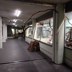 Exotarium - Ground floor - Towards the Pantanal exhibit