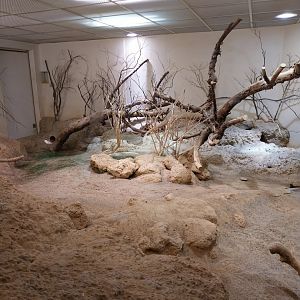 Plains viscacha and burrowing owl enclosure