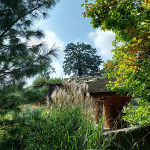 Afrikanisches gebirge