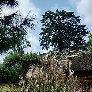 Afrikanisches gebirge