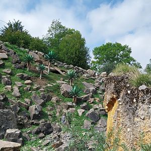 Afrikanisches gebirge