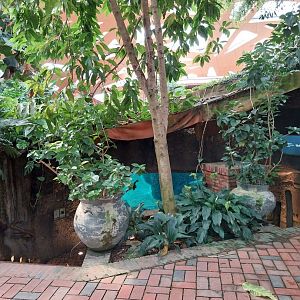 Kaeng Krachan - swimming pool