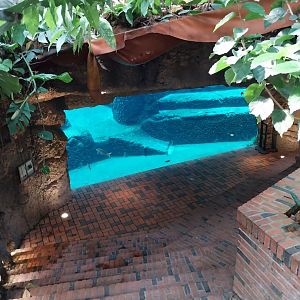 Kaeng Krachan - swimming pool