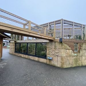 Binturong exhibit 040124