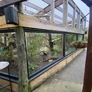 Binturong exhibit 040124