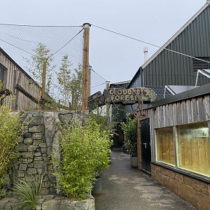 Clouded Forest 040124