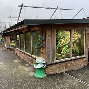 Caiman lizard/Red-footed tortoise exhibit 040124