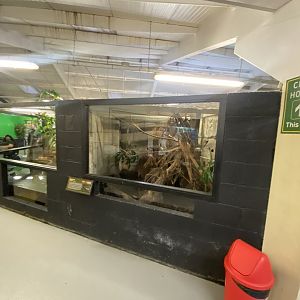 Reticulated python exhibit 040124