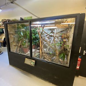 Green tree monitor exhibit 040124