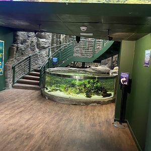 Entrance exhibit 070124