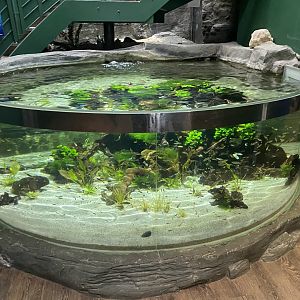 Entrance exhibit 070124