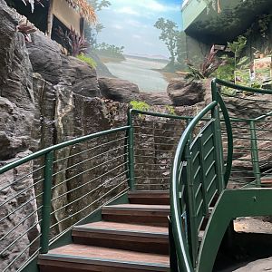 Stairway passed mixed turtle exhibit 070124