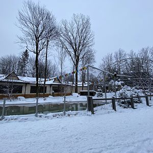 Future dhole exhibit