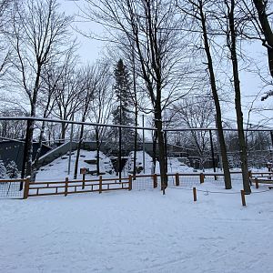 Japanese serow and red-crowned crane exhibit