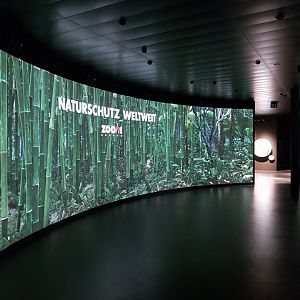 Masoala - Nature Conservation Center