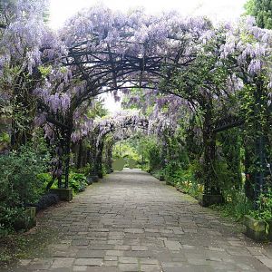 Road to Oasis greenhouse, 2023-05-15