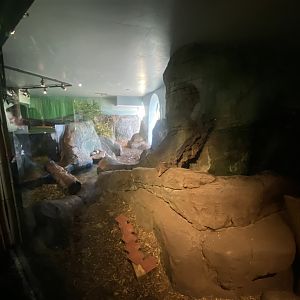 Asian small-clawed otter enclosure 070124