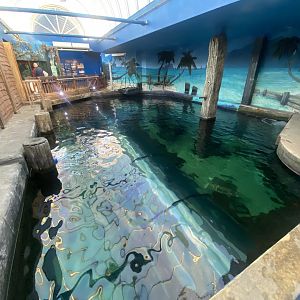 Shark Wreck Reef from above 070124