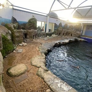 Penguin Beach 070124