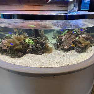 Mixed tropical exhibit 070124