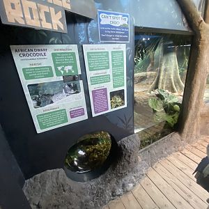 Crocodile Rock 070124