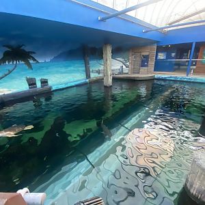 Shark Wreck Reef 070124