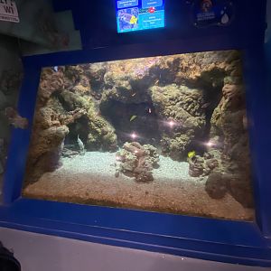 Tropical display 070124