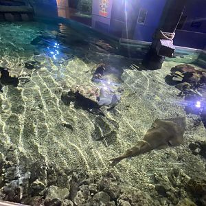 Key West from above 070124