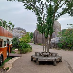 Lewa savanna - Kopje exhibit