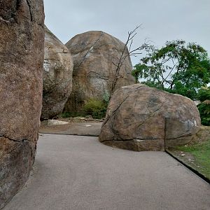 Lewa savanna - Kopje exhibit