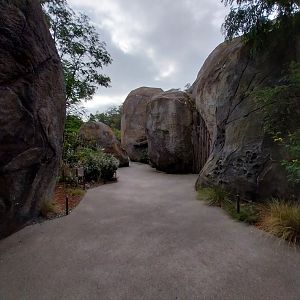 Lewa savanna - Kopje exhibit