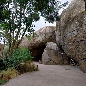 Lewa savanna - Kopje exhibit