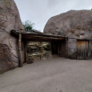 Lewa savanna - Kopje exhibit - Terrarium