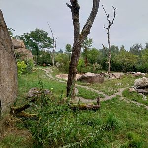 Lewa savanna - Kopje exhibit - Spotted hyena enclosure