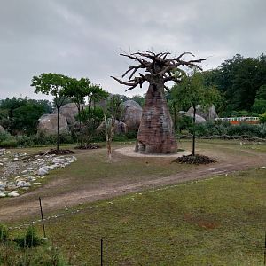 Lewa savanna - Village