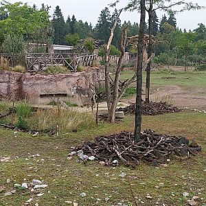 Lewa savanna - Viewing point