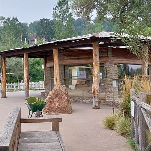 Lewa savanna - Village - Meerkat house