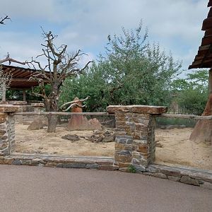 Lewa savanna - Village - Meerkat enclosure