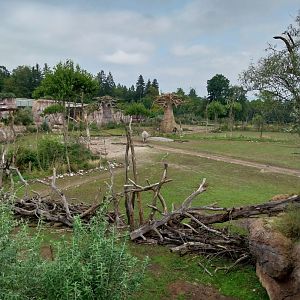 Lewa savanna - Vantage point
