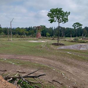 Lewa savanna - Vantage point