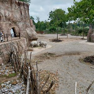 Lewa savanna - Giraffe and rhino building