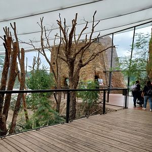 Lewa savanna - Giraffe and rhino building