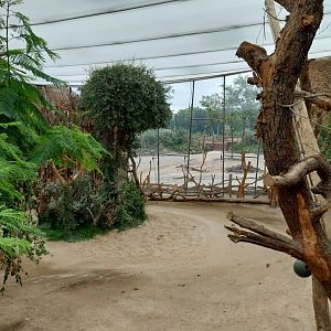 Lewa savanna - Giraffe and rhino building