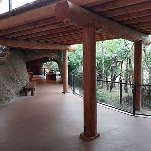 Lewa savanna - Giraffe and rhino building