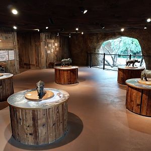 Lewa savanna - Giraffe and rhino building