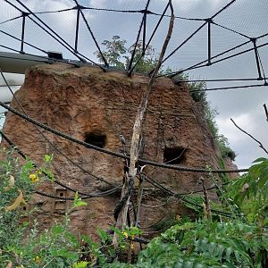 Lewa savanna - African grey parrot aviary